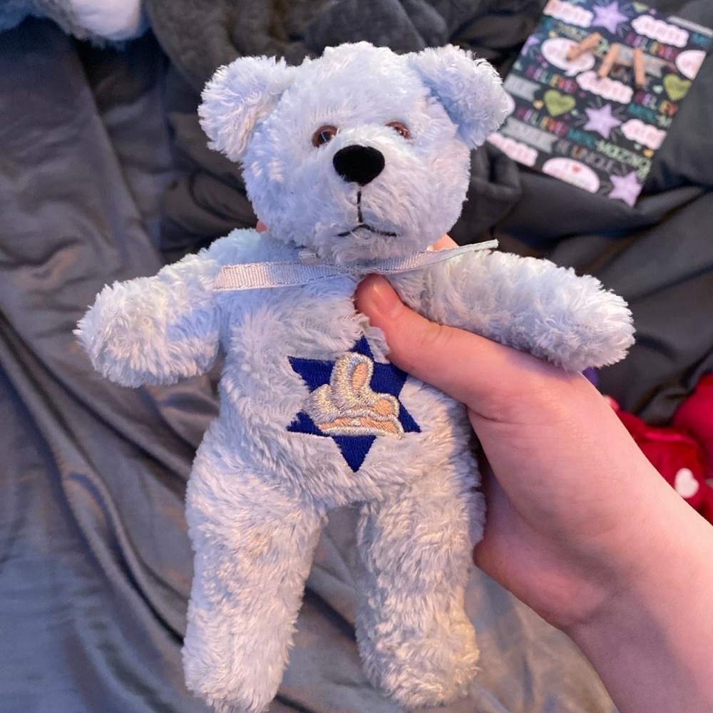 Teddy bear
